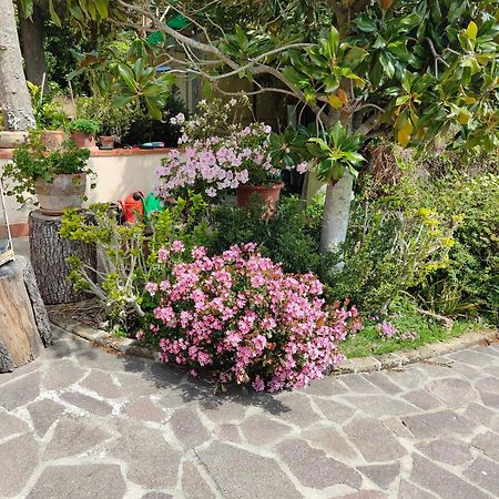 Apartament Il Diacciarello Gabbro Zewnętrze zdjęcie