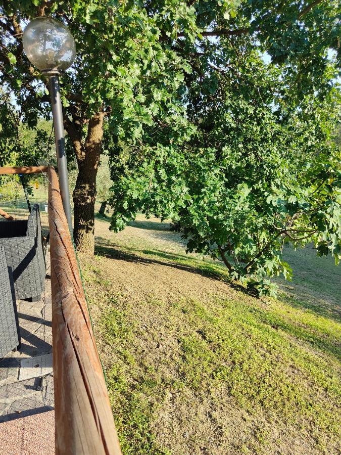 Apartament Il Diacciarello Gabbro Zewnętrze zdjęcie